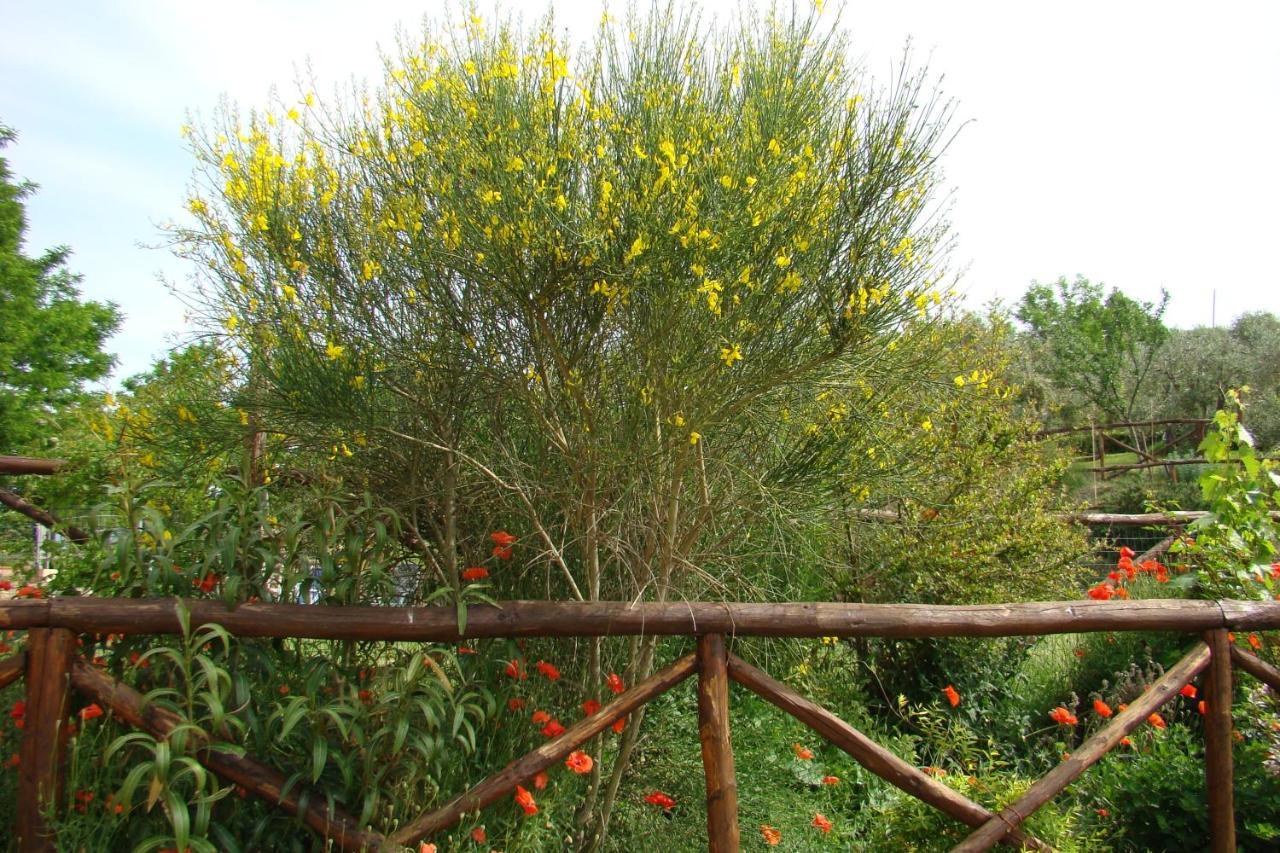 Casa Natura 圣吉米纳诺 外观 照片